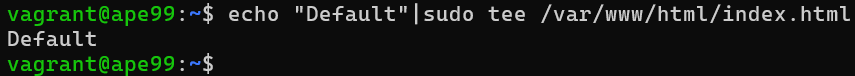Echo default index.html